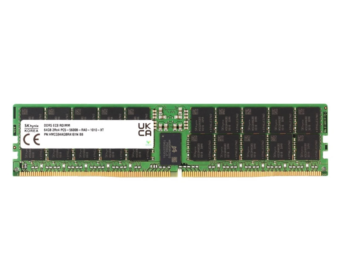 SK hynix HMCG94AGBRA181N 64 Go DDR5-5600 ECC RDIMM